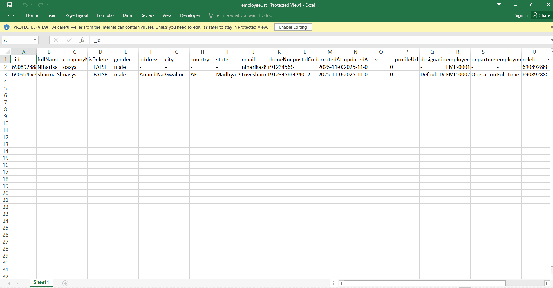 Excel Export Preview
